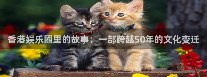 新城平台登录
