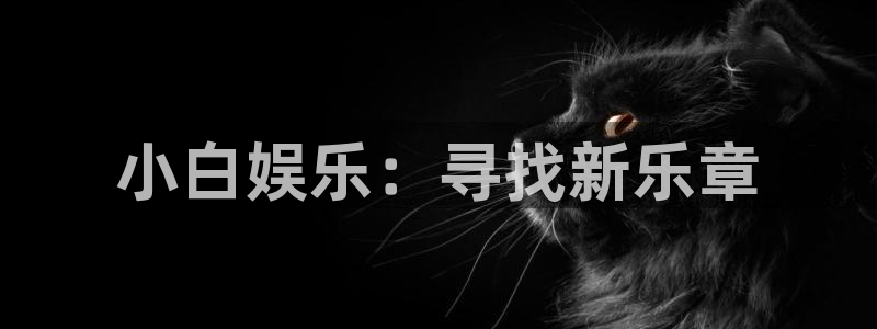 新城平台登录
