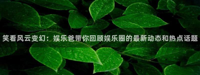 新城平台