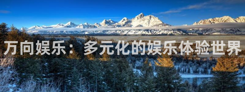 新城平台登录