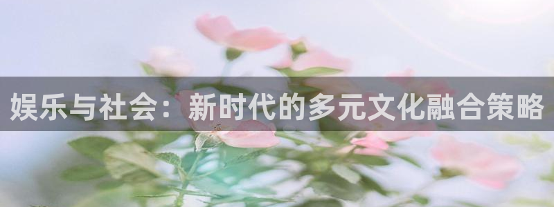 新城平台官网